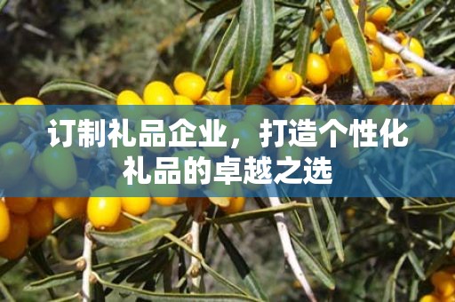 订制礼品企业，打造个性化礼品的卓越公司